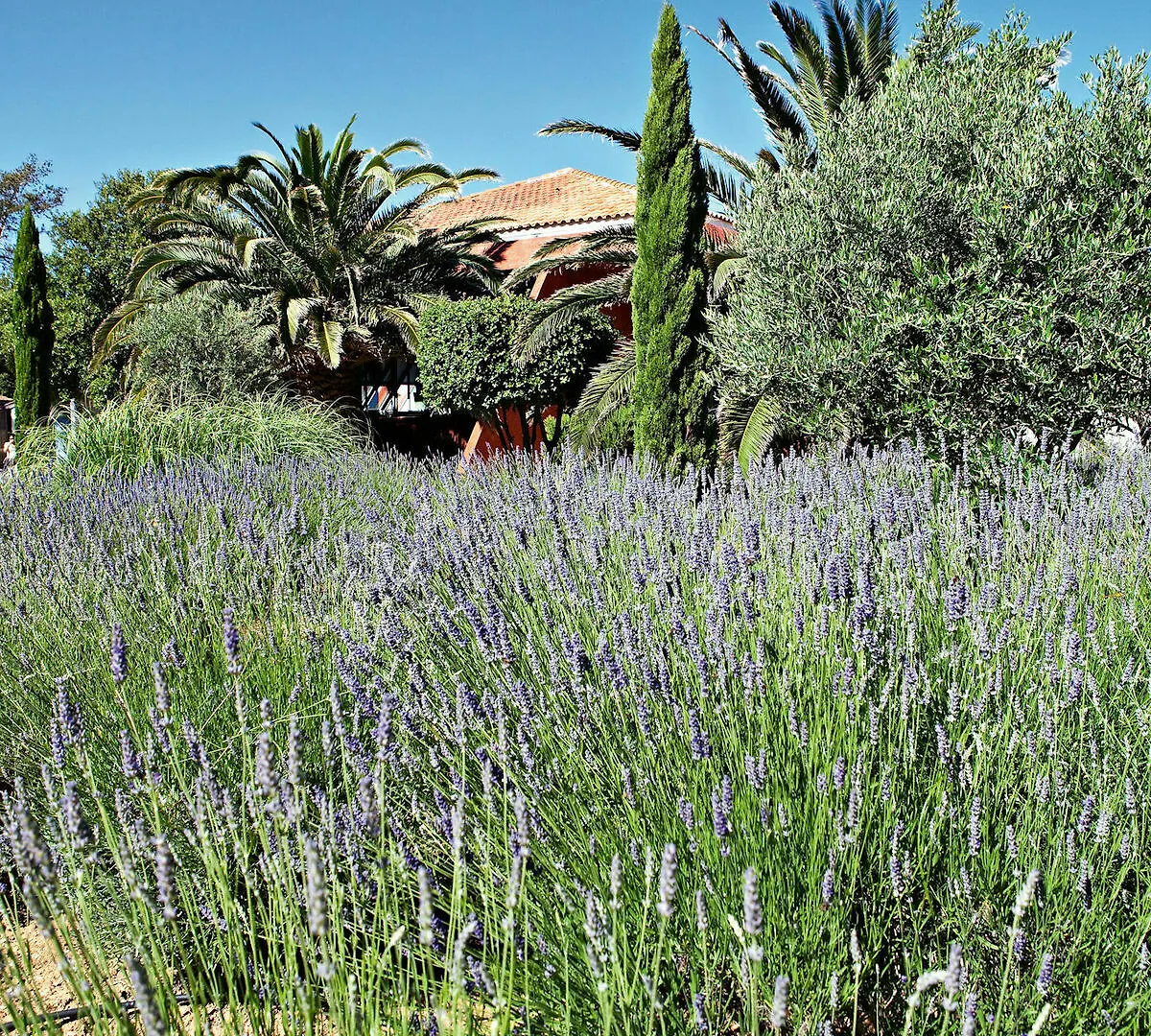 Belambra Clubs Presqu'Ile De Giens - Riviera Beach Club Hyeres